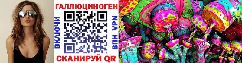где можно купить   Канаш  Псилоцибиновые грибы Cubensis 